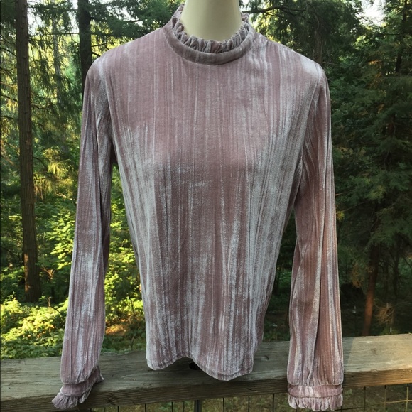 Mello Day Tops - Mello  Day Victorian velvet top in dusty rose